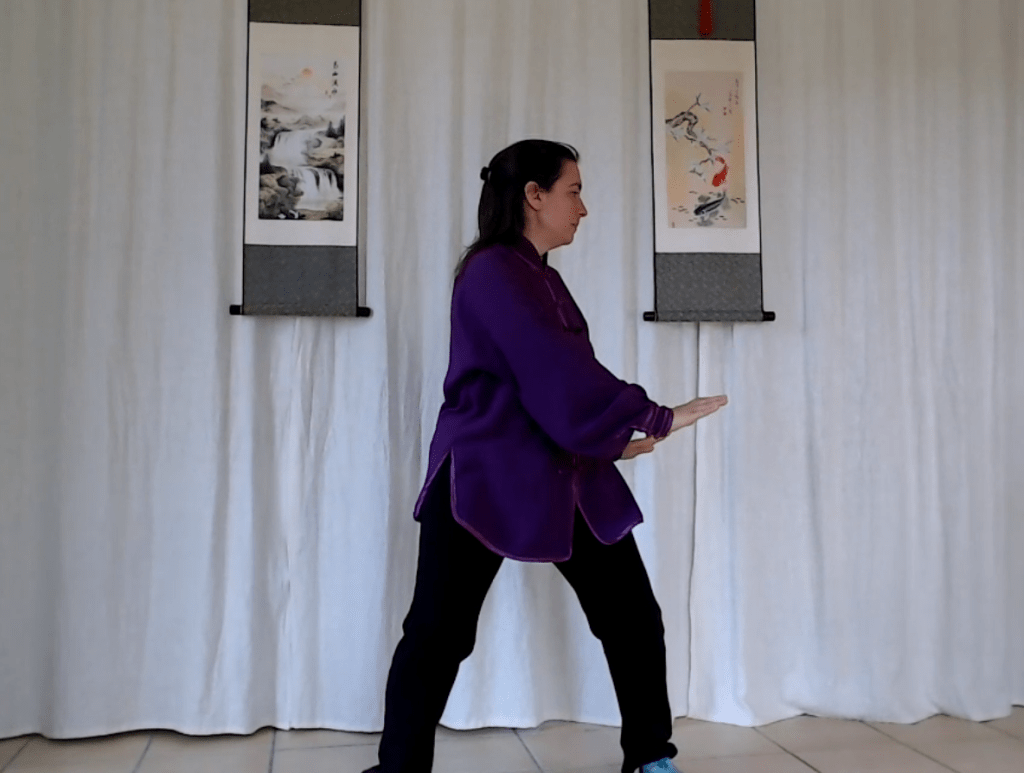Photo d'un cours de qi gong en ligne.